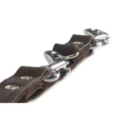 Beeztees Trainingsriem bruin 200x1,2 cm leer 736401