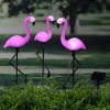 HI Grondpinnen 3 st solar LED flamingo