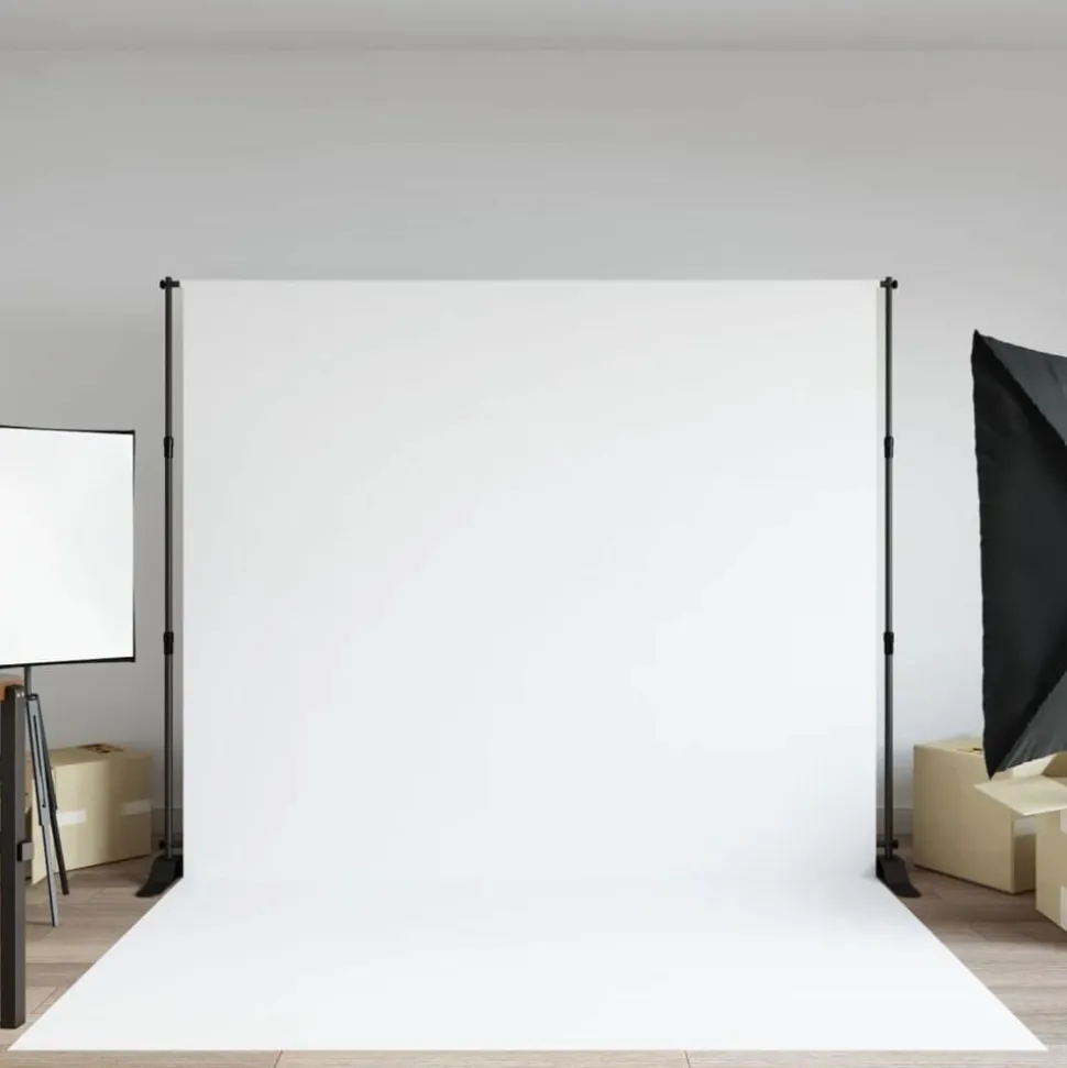 vidaXL Achtergrondstandaard 254x243 cm staal zwart