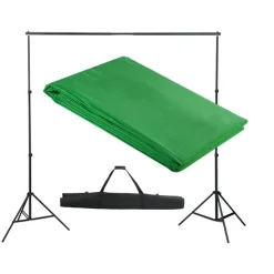 vidaXL Achtergrondsysteem 300x300 cm groen