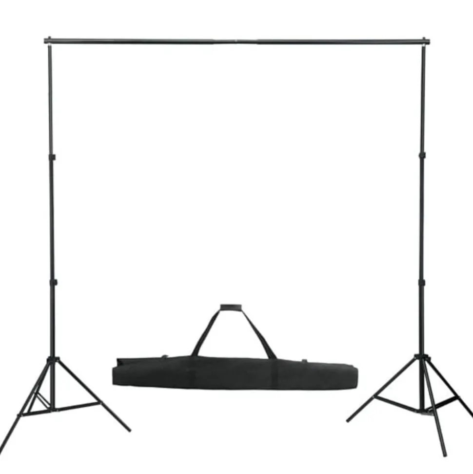 vidaXL Achtergrondsysteem 600x300 cm wit