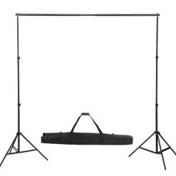 vidaXL Achtergrondsysteem 600x300 cm zwart