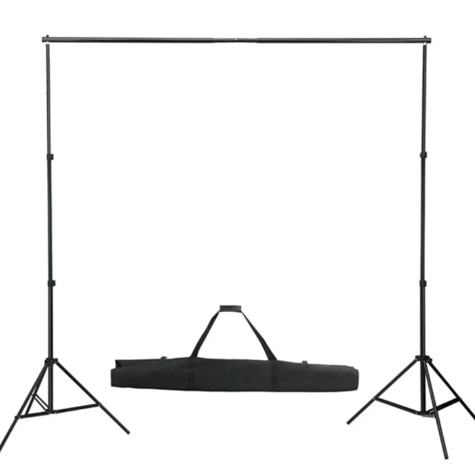 vidaXL Achtergrondsysteem 600x300 cm zwart