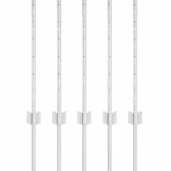 vidaXL Afrasteringspaal 5 pcs Zilver 60 cm Staal