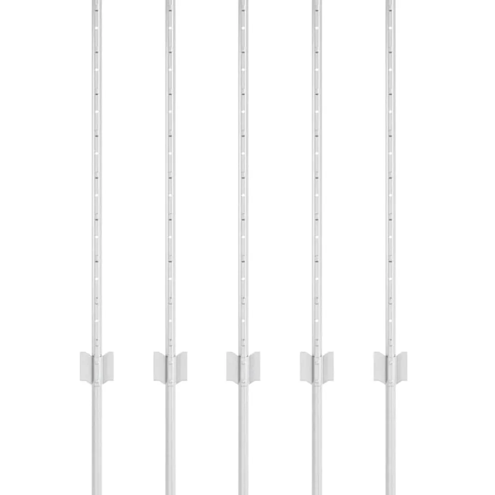 vidaXL Afrasteringspaal 5 pcs Zilver 80 cm Staal