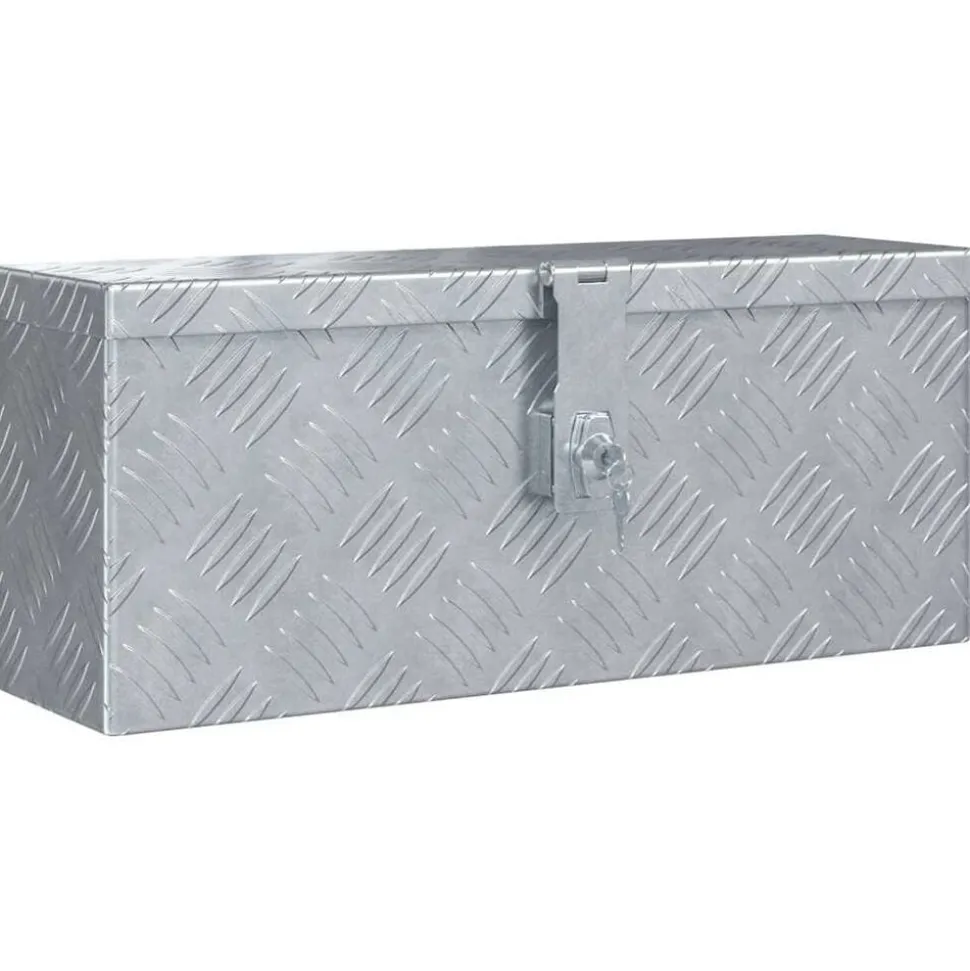 vidaXL Aluminium kist 48,5x14x20 cm zilverkleurig