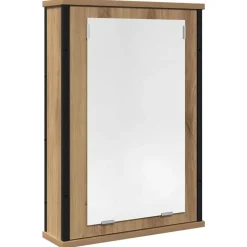 vidaXL Badkamerspiegelkast 42x12x60 cm bewerkt hout artisanaal
