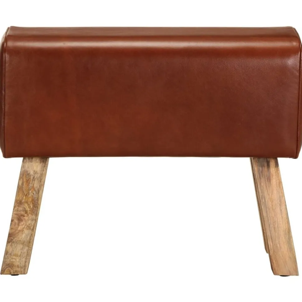 vidaXL Bankje turnbok 58 cm echt leer en massief mangohout bruin