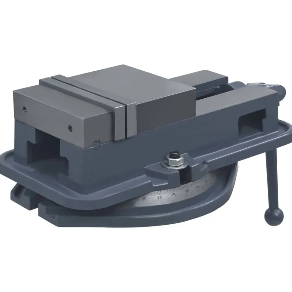 vidaXL Bankschroef draaibaar 160 mm gietijzer