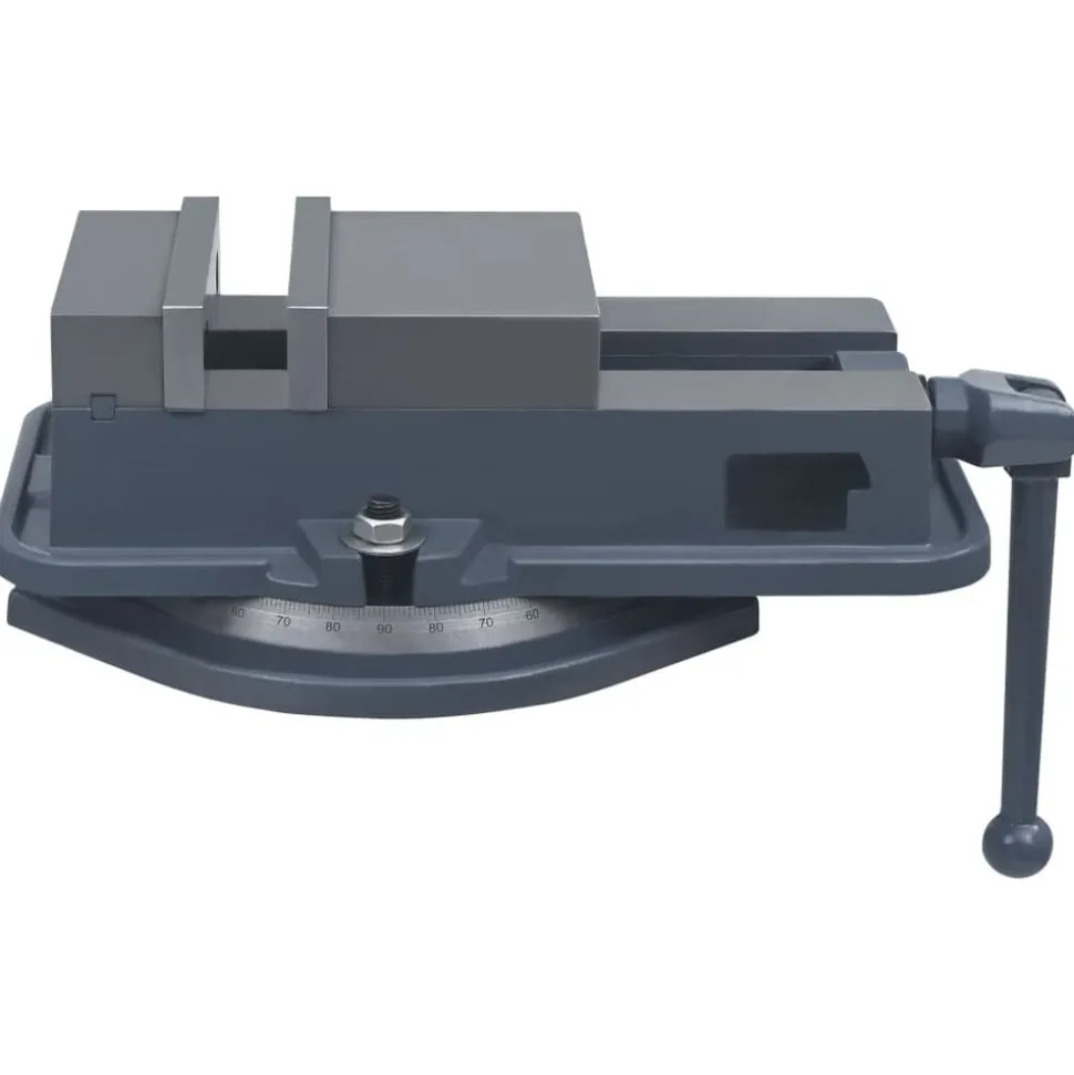 vidaXL Bankschroef draaibaar 160 mm gietijzer