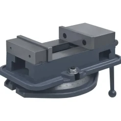 vidaXL Bankschroef draaibaar 160 mm gietijzer