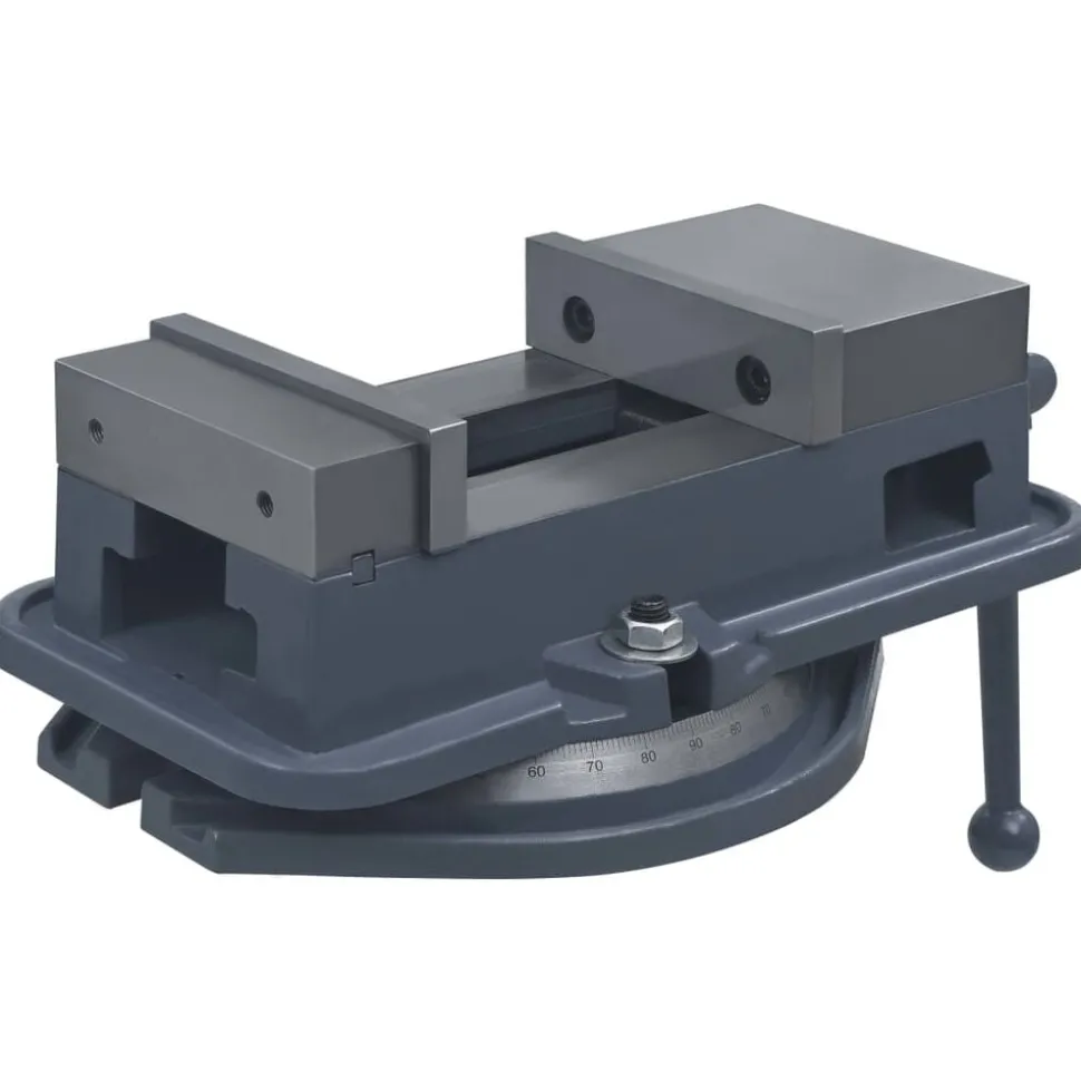 vidaXL Bankschroef draaibaar 160 mm gietijzer