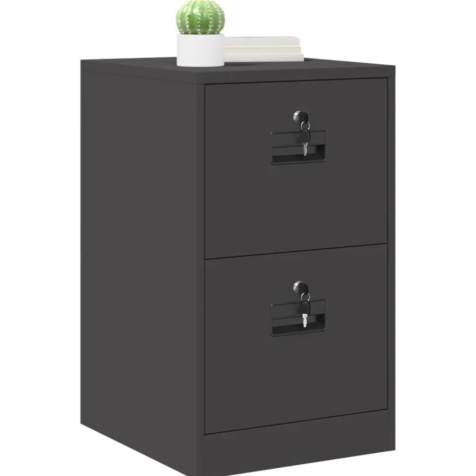 vidaXL Bestandenkast Zwart 44 x 50 x 74,5 cm Koudgewalst Staal