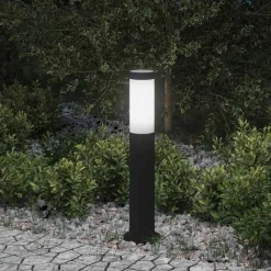 vidaXL Bolderverlichting 50 cm RVS IP44