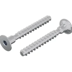 vidaXL Bout 2 pcs Verzinkt 5 x 40 mm IJzer