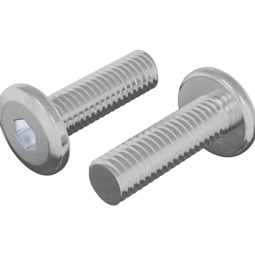 vidaXL Bout 2 pcs Zilver 8 x 25 mm Staal