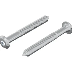 vidaXL Bout 2 pcs Zilver M6 x 50 mm Staal