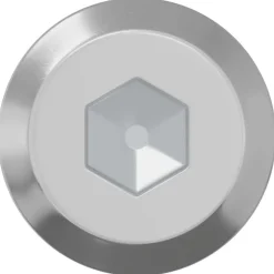 vidaXL Bout 2 pcs Zilver M6 x 50 mm Staal