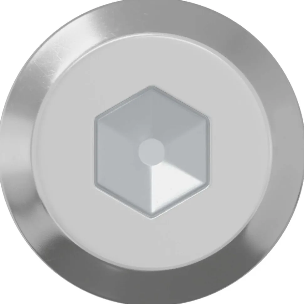 vidaXL Bout 2 pcs Zilver M6 x 50 mm Staal