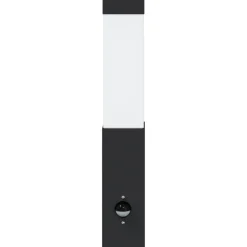 vidaXL Buiten Wandlamp Zwart 10.5 x 6 x 33 cm
