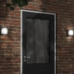 vidaXL Buitenwandlamp roestvrij staal zwart
