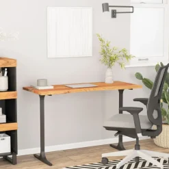 vidaXL Bureaublad rechthoekig 120x50x2,5 cm massief acaciahout