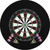 vidaXL Dartbord professioneel met 6 darts en surround sisal
