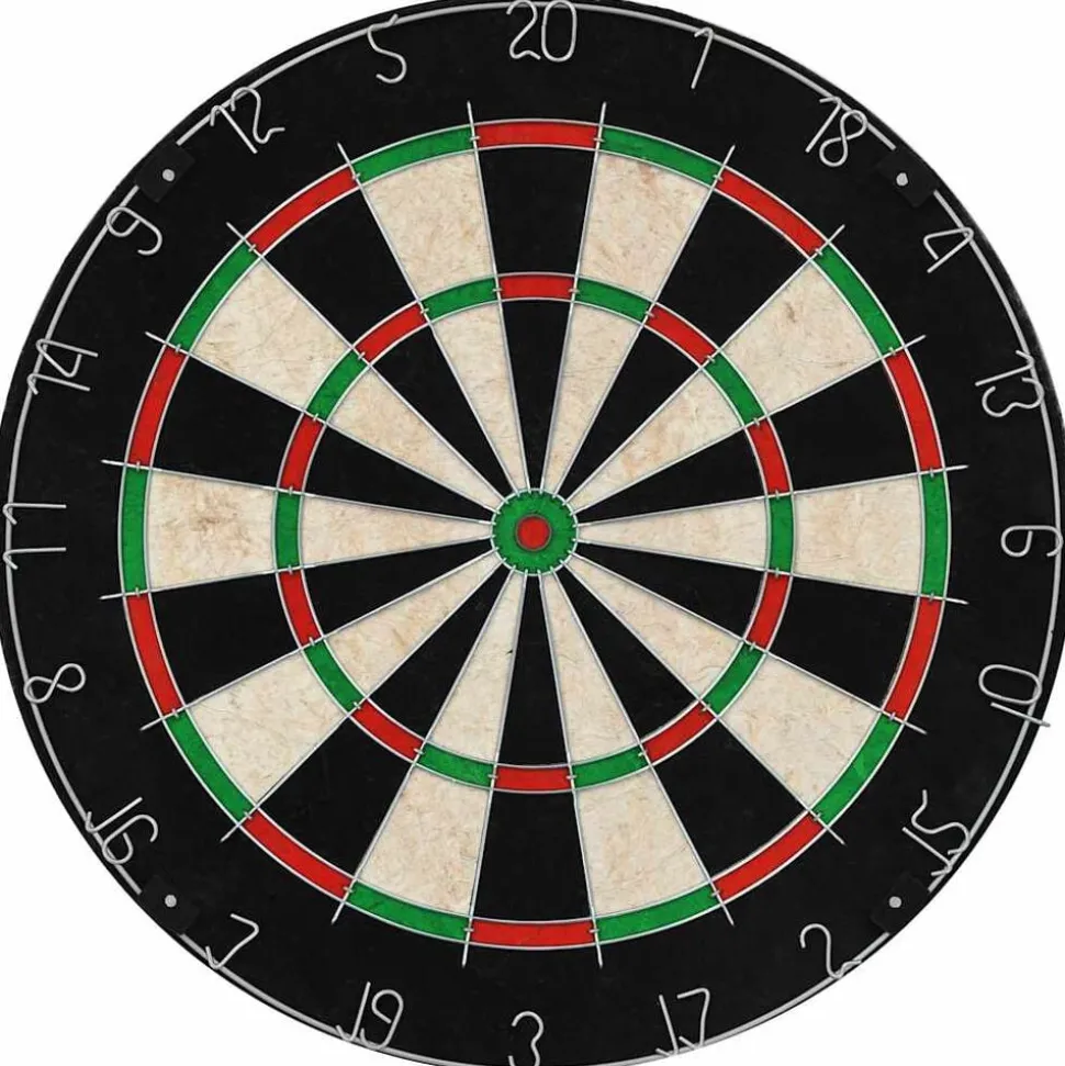 vidaXL Dartbord professioneel met 6 darts sisal