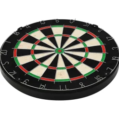 vidaXL Dartbord professioneel met 6 darts sisal