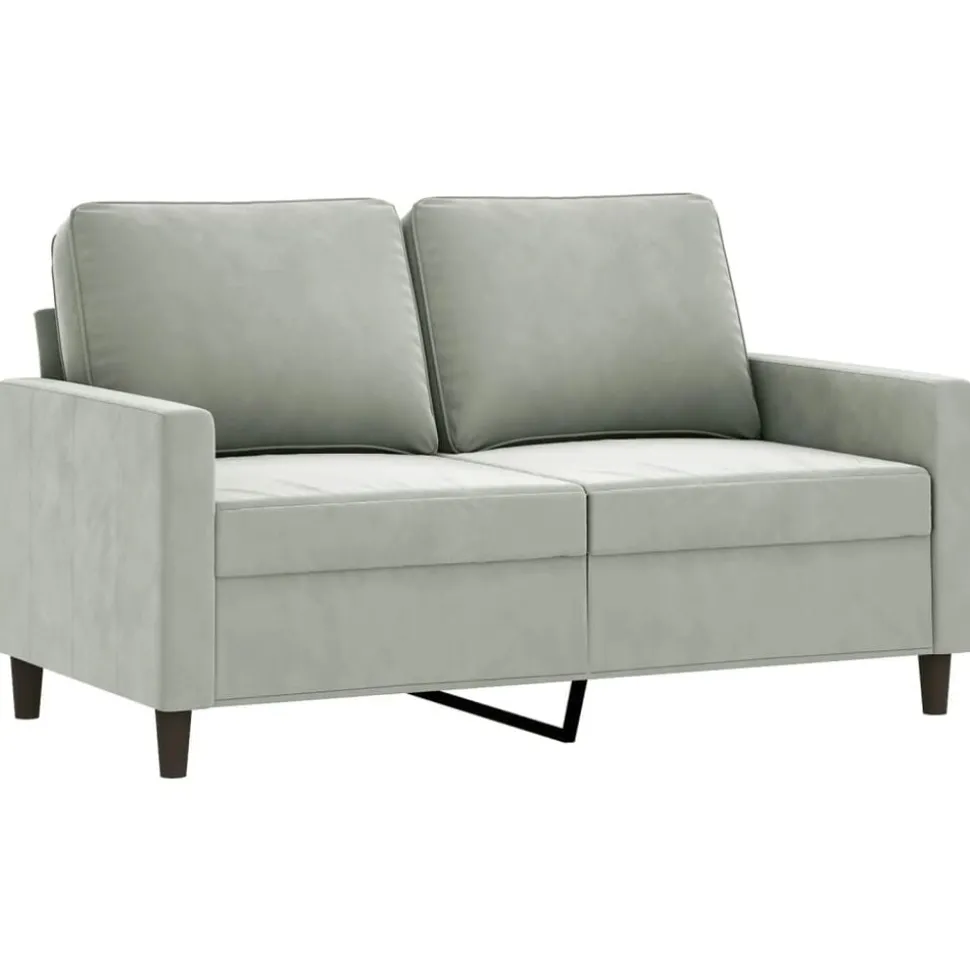 vidaXL 2-delige Loungeset met kussens fluweel lichtgrijs