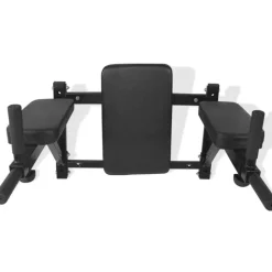 vidaXL Dipstation fitnessapparaat wandgemonteerd zwart