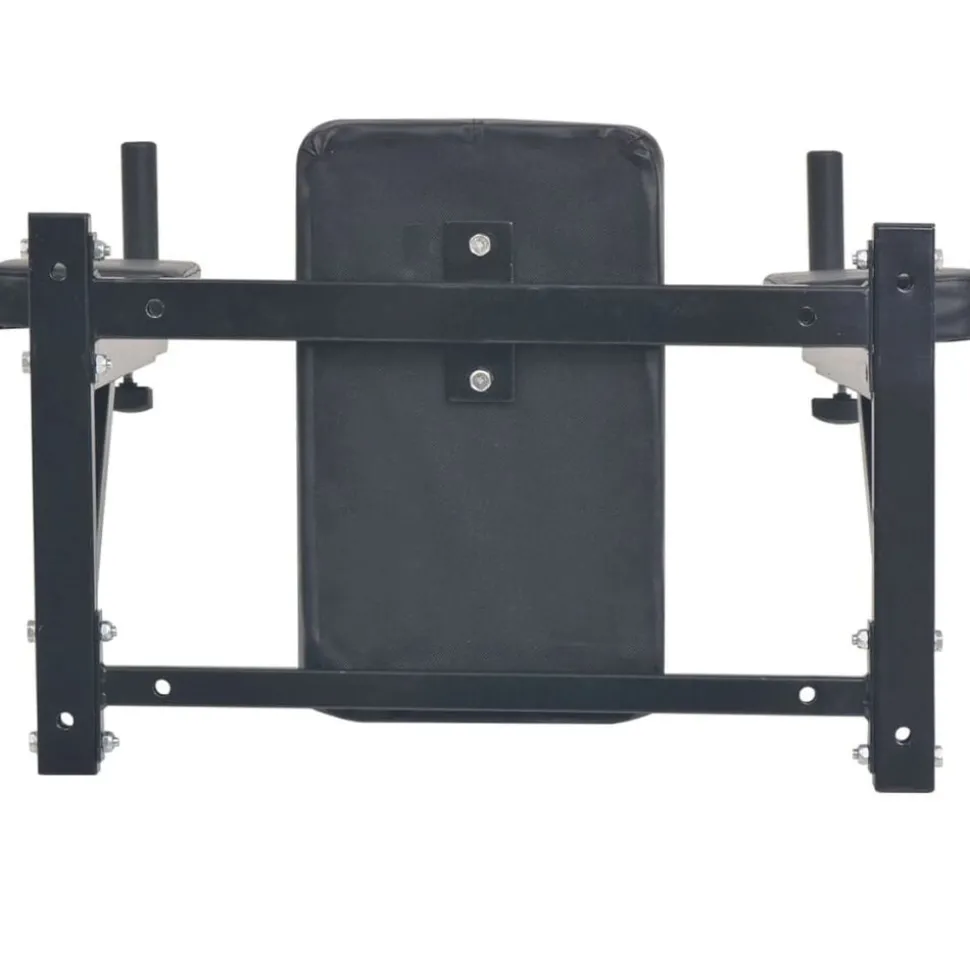 vidaXL Dipstation fitnessapparaat wandgemonteerd zwart