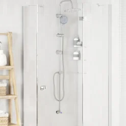 vidaXL Douche systeem Zilver 47 x 20 x 95 cm Roestvrij staal