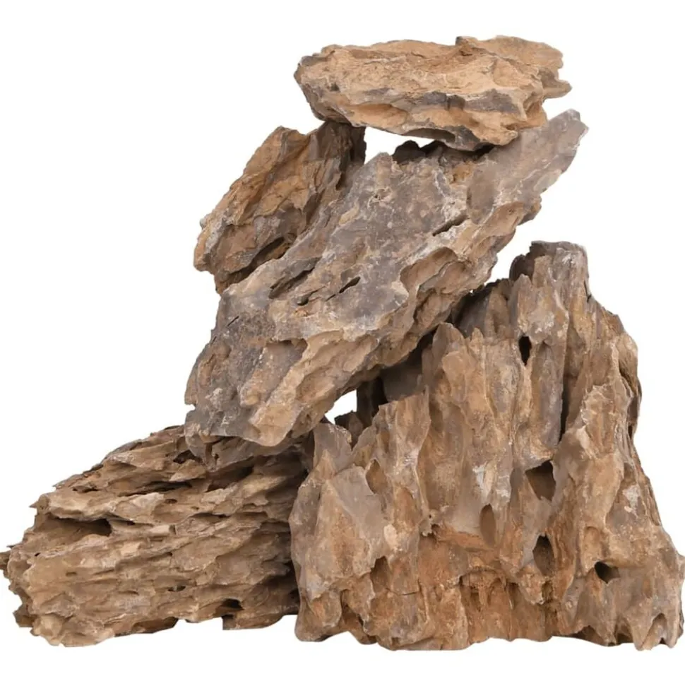 vidaXL Drakenstenen gemende kleur 10 kg 10-30 cm
