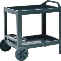 vidaXL Dranktrolley 69x53x72 cm kunststof groen