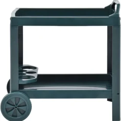 vidaXL Dranktrolley 69x53x72 cm kunststof groen