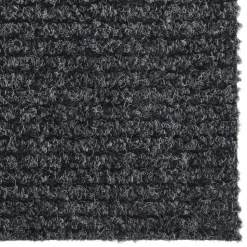 vidaXL Droogloopmat 100x100 cm antracietkleurig