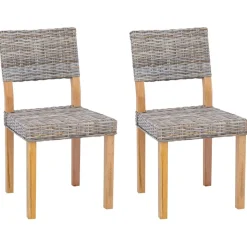 vidaXL Eetkamerstoel 2 pcs Kubu grijs 46 x 55 x 84 cm Kubu Rattan