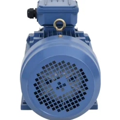 vidaXL Elektromotor 3 fase 3 kW/4 pk 2-polig 2840 rpm aluminium