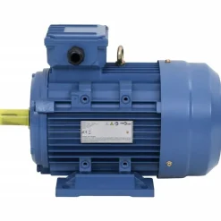 vidaXL Elektromotor 3 fase 3 kW/4 pk 2-polig 2840 rpm aluminium