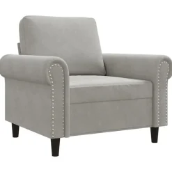 vidaXL Fauteuil 60 cm fluweel lichtgrijs