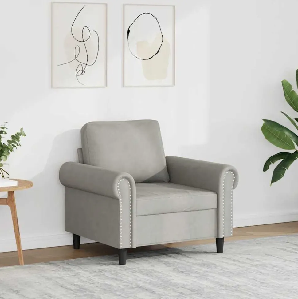 vidaXL Fauteuil 60 cm fluweel lichtgrijs