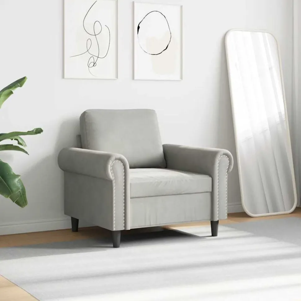 vidaXL Fauteuil 60 cm fluweel lichtgrijs