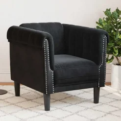 vidaXL Fauteuil fluweel zwart