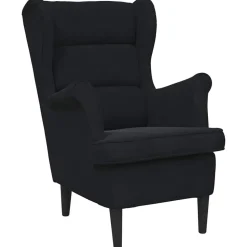 vidaXL Fauteuil fluweel zwart