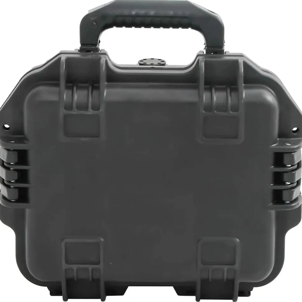vidaXL Flightcase draagbaar 30x24,5x12,5 cm PP zwart