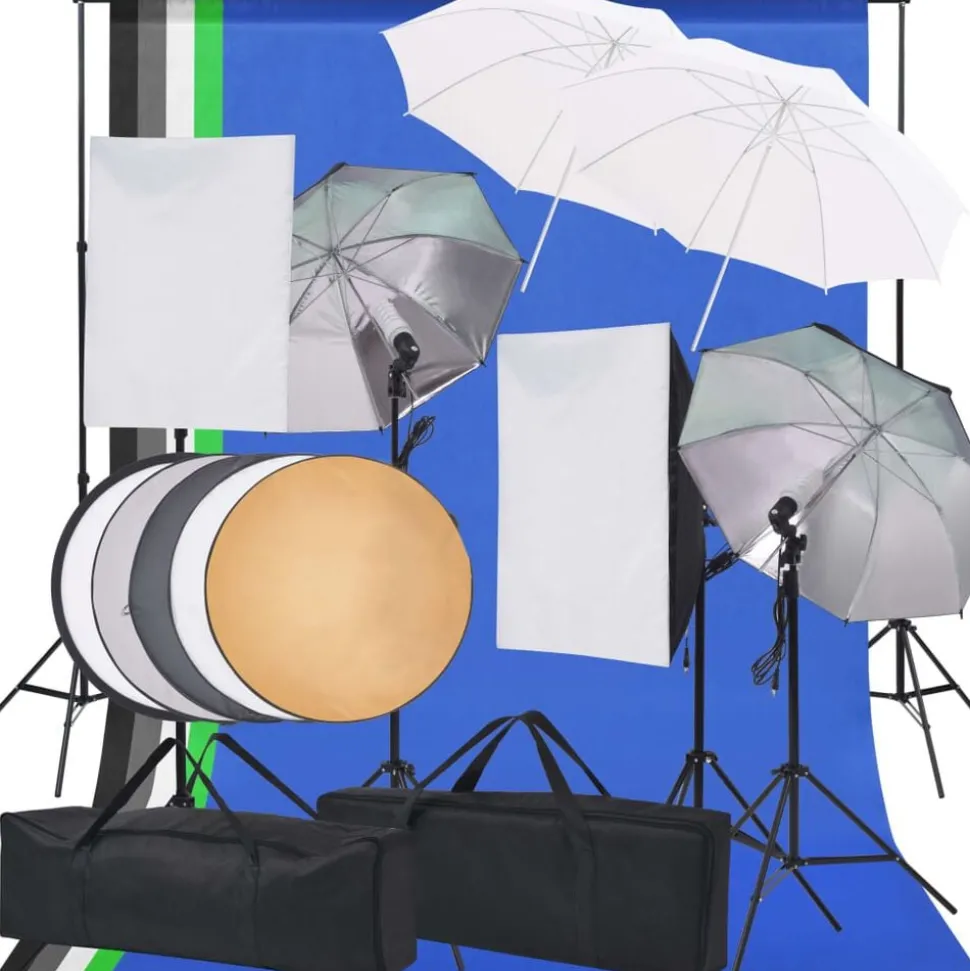 vidaXL Fotostudio verlichtingsset