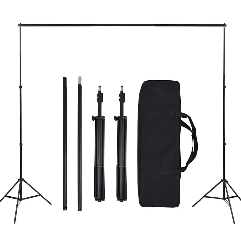 vidaXL Fotostudio verlichtingsset