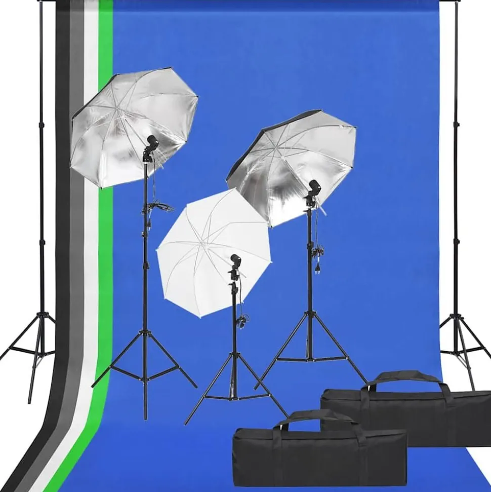 vidaXL Fotostudioset met verlichtingsset en achtergrond