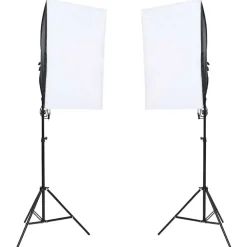vidaXL Fotostudioset met verlichtingsset en achtergrond